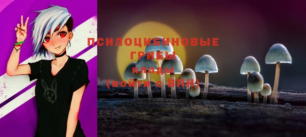 COCAINE Каменка