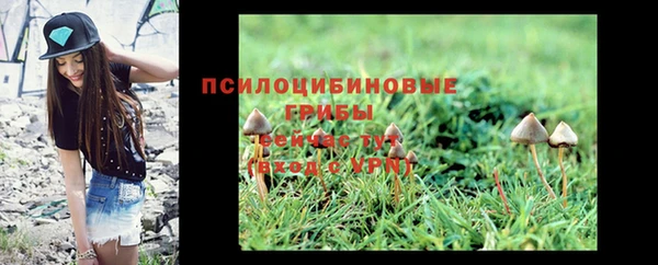 наркотики Каменногорск