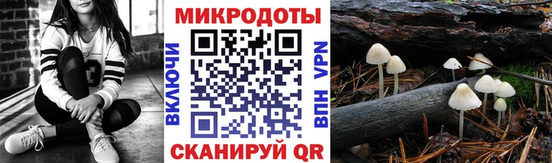 Галлюциногенные грибы GOLDEN TEACHER  Купить где  Лодейное Поле 